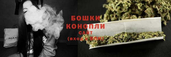 сатива Горнозаводск