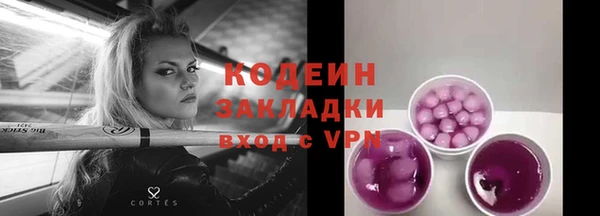 2c-b Дмитриев