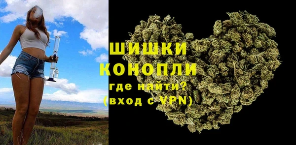2c-b Дмитриев