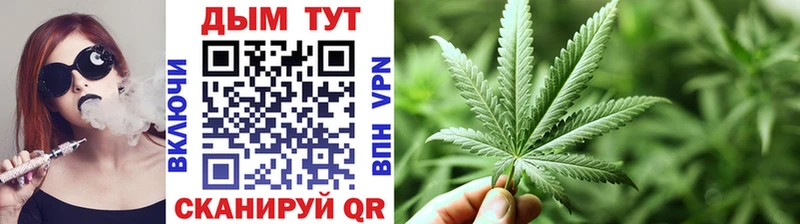 Купить  Курчалой  Бошки марихуана индика 